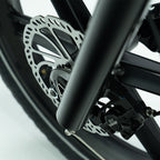 Arvelo Pace - Longtail