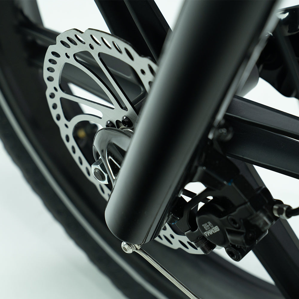 Arvelo Pace - Longtail