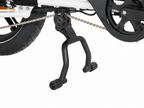 Arvelo Pace - Longtail