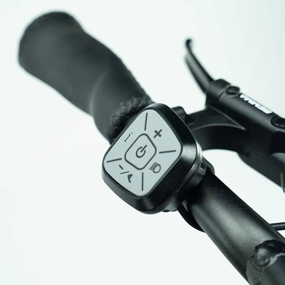Arvelo Pace - Longtail