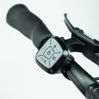 Arvelo Pace - Longtail