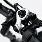Arvelo Pace - Longtail